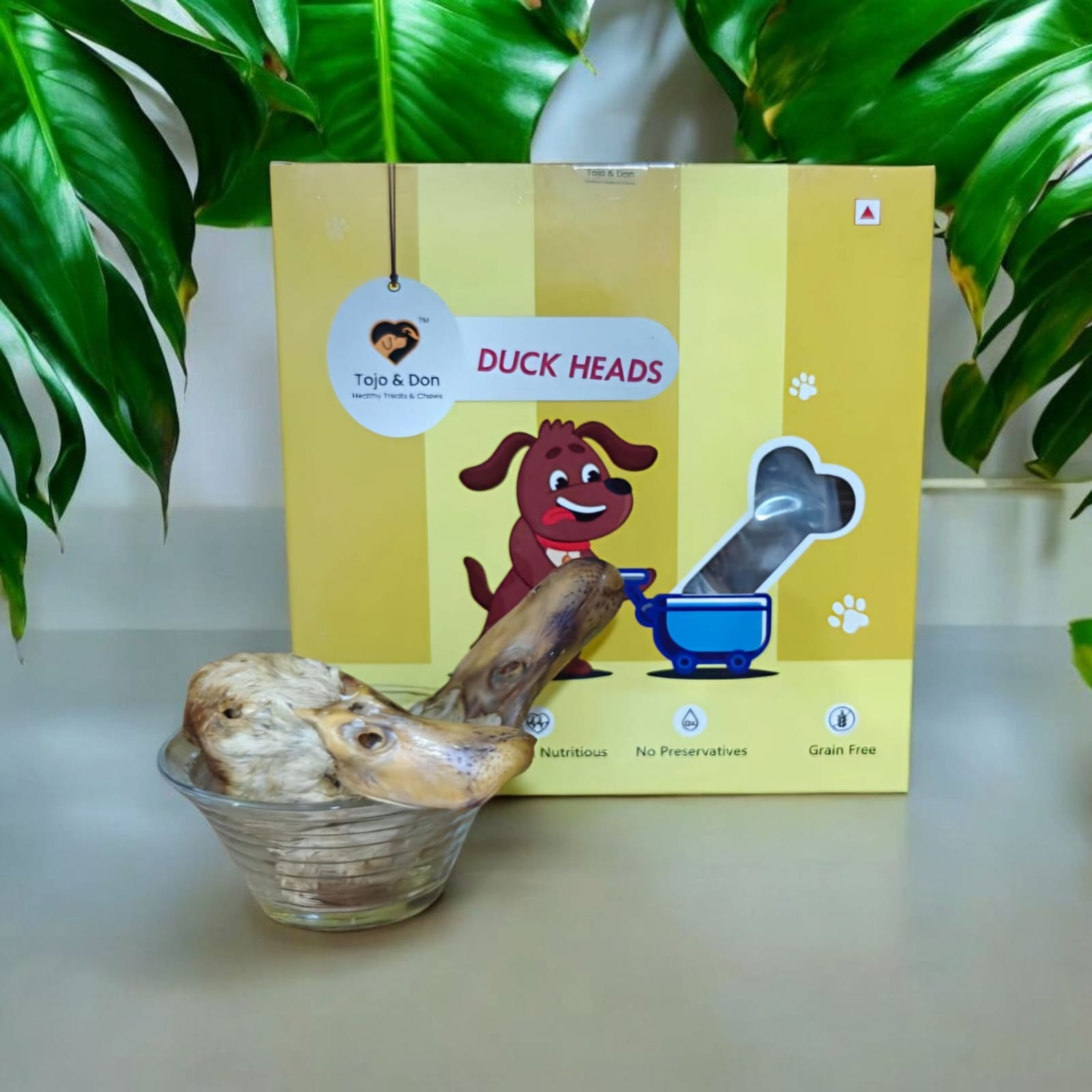 IMG-20250504-WA0005 IMG-20250504-WA0005