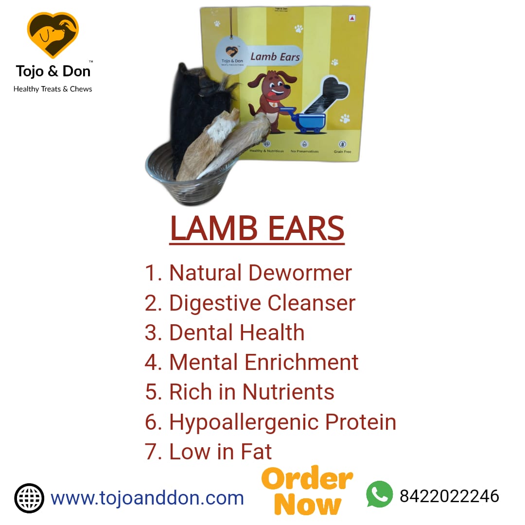 WhatsApp Image 2025-07-20 at 22.26.03_130080dd WhatsApp Image 2025-07-20 at 22.26.03_130080dd