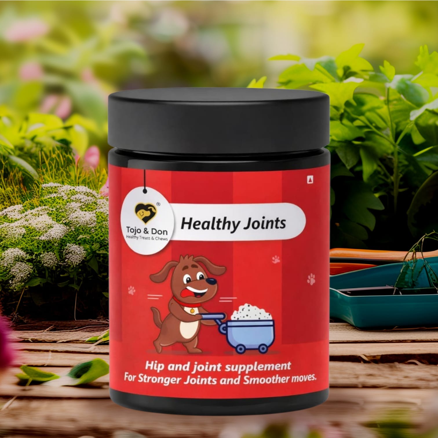 Healthy Joint Supplements for Dogs (2) Healthy Joint Supplements for Dogs (2)